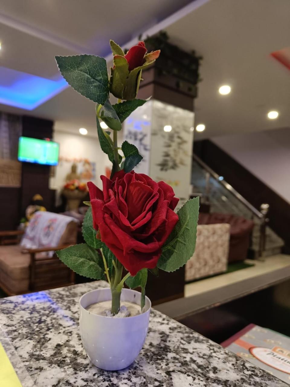 King Castle Mcleodganj-Centrally Heated And Air Cooled- Near Mall Road - Free Parking دارامشالا المظهر الخارجي الصورة
